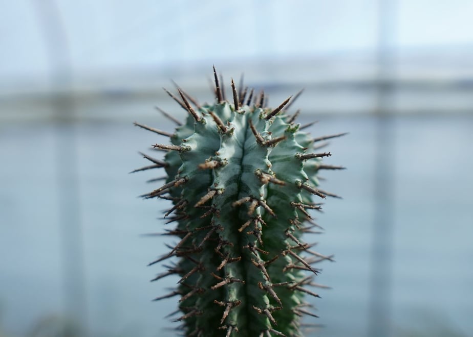 63f036c33313d23ebb8e6893