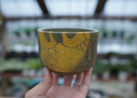 hechicami pot NO.11