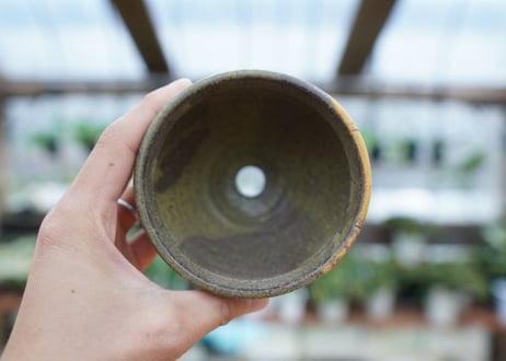 hechicami pot NO.15
