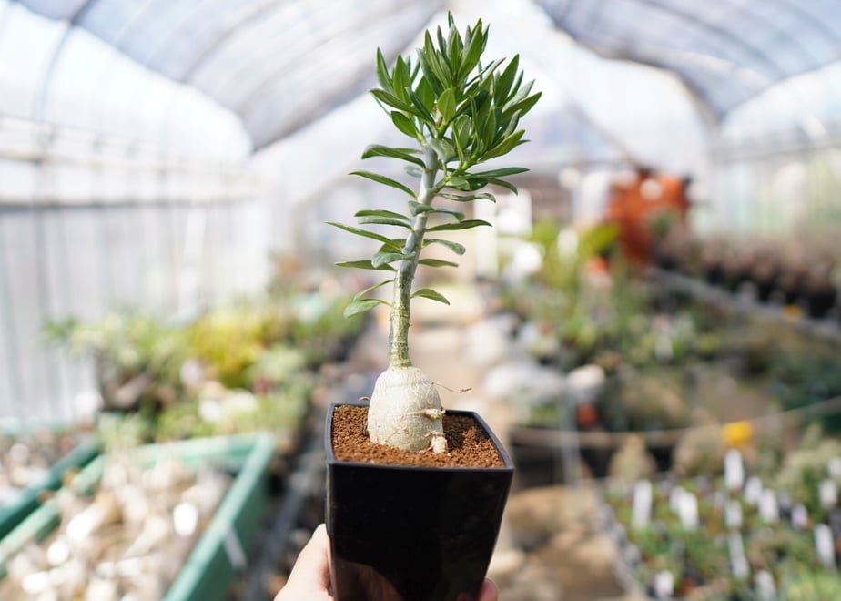 610b319a2023971e28ec1bae