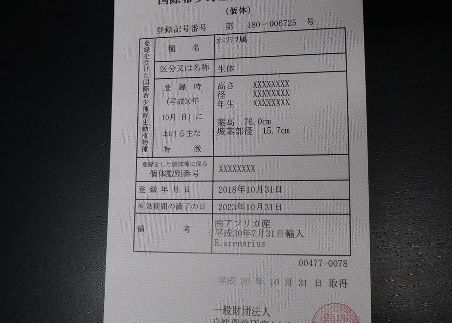 5e4fa97ec78a536a99418d57