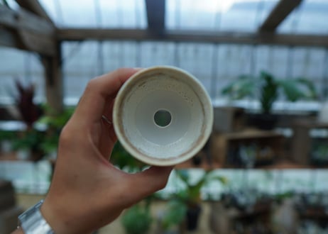 Muddy Punk pot No.19