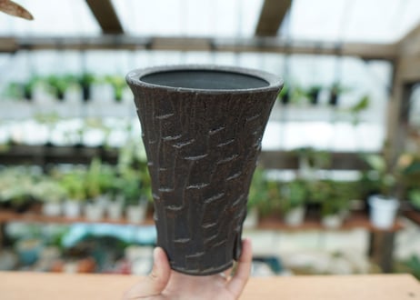 沼野秀章 pot No.2