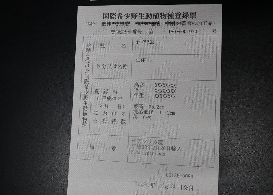 5e4fa805c78a532385417fce