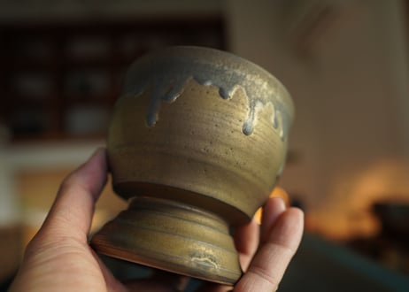 荻野揺子 pot NO.11