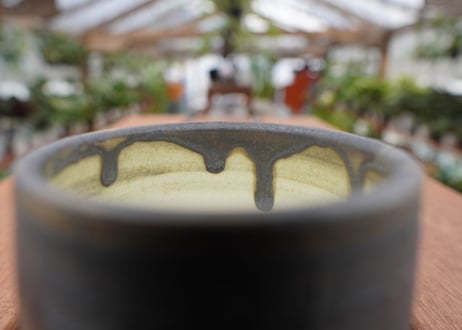 關まどか pot NO.29-5　Ｇ