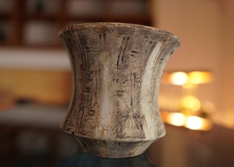 沼野秀章 pot No.24