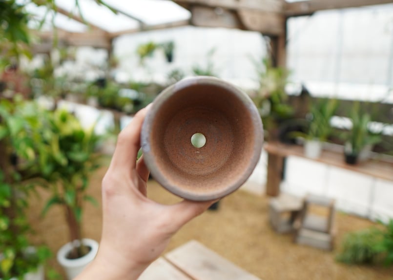 植木鉢 No.2 | mana's farm:塊根植物・アガベ・ドライガーデン植物販売