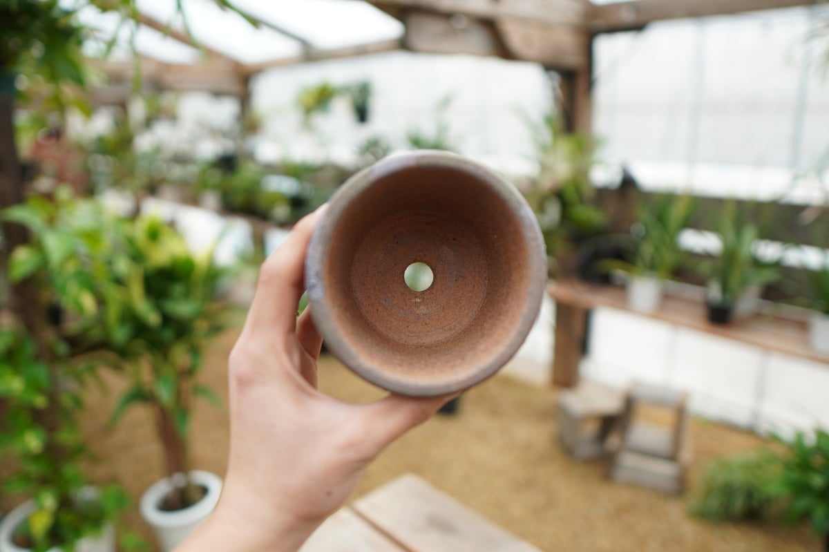 陶器植木鉢 作家鉢 ハンドメイド 塊根植物 アガべ XXLサイズ A-504 益子焼｜【益子焼】 4号鉢 植木鉢 陶器鉢 塊根植物 アガベ