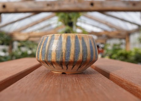 關まどか pot NO.23-1 F