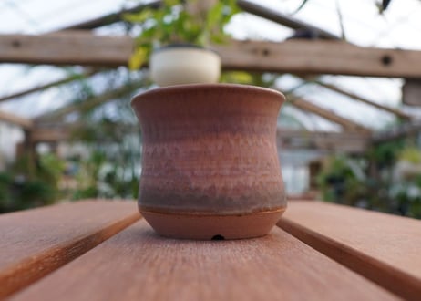 關まどか pot NO.10-5　Ｇ