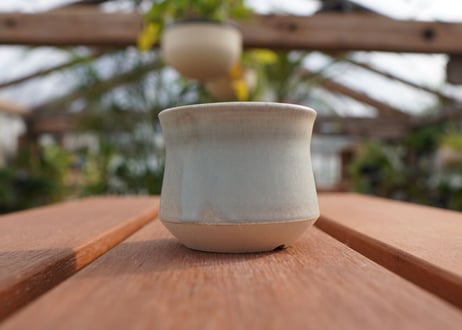 關まどか pot NO.5-8　Ｇ