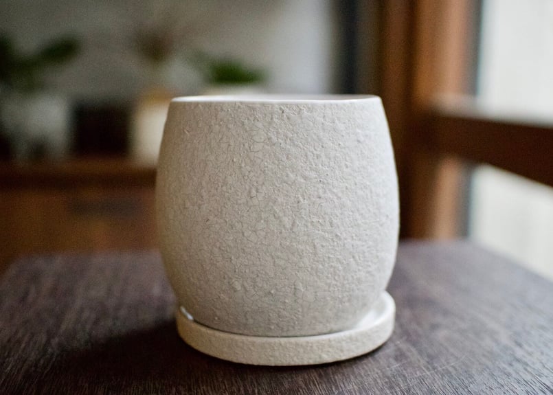 植木鉢 ノヴァボウル 鉢皿付き S | mana's farm:塊根植物・アガベ