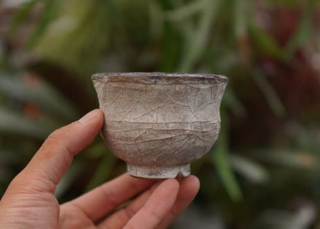 持木祐一pot NO.8
