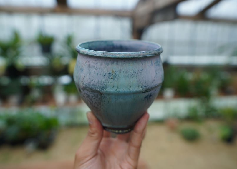 神田知広pot No.4 | mana's farm:塊根植物・アガベ・ドライガーデン