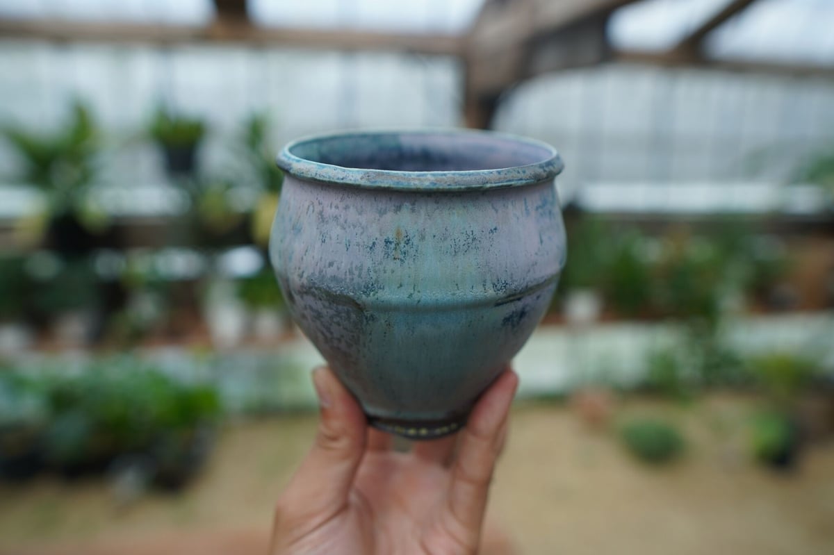 神田知広pot No.4 | mana's farm:塊根植物・アガベ・ドライガーデン