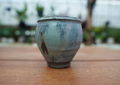 神田知広pot No.6