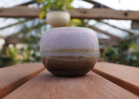 關まどか pot NO.9-1 F