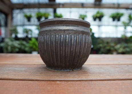 保田修作  pot No.15