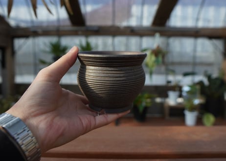 保田修作  pot No.6