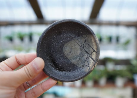 hechicami pot NO.5