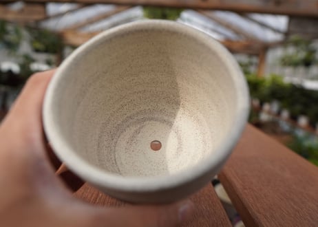 關まどか pot NO.22-5　F