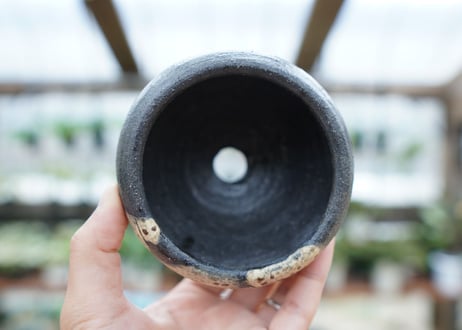 hechicami pot NO.2