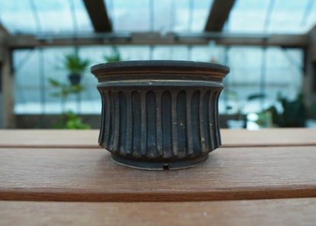 保田修作  pot No.74