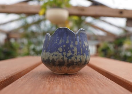 關まどか pot NO.3-3　Ｇ