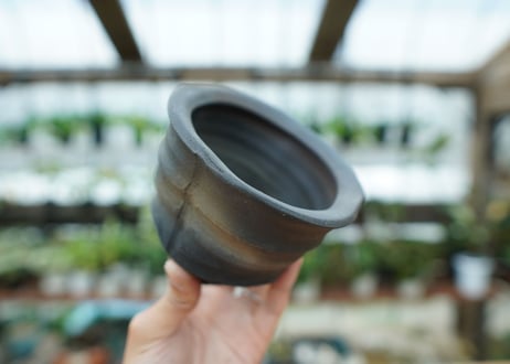 沼野秀章 pot No.7