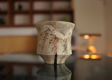 沼野秀章 pot No.39