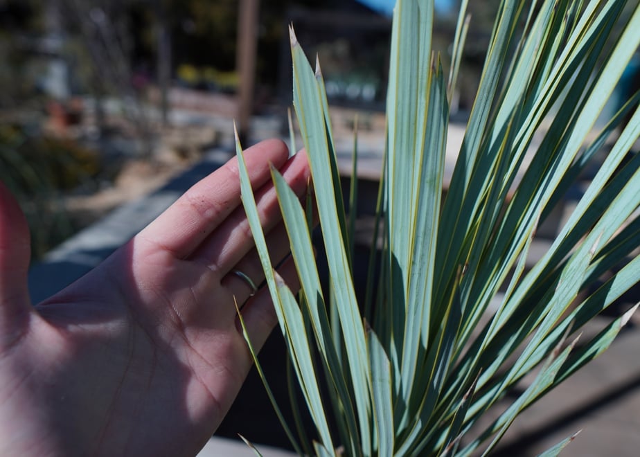65b1f3cb77cfb7003b3fa894