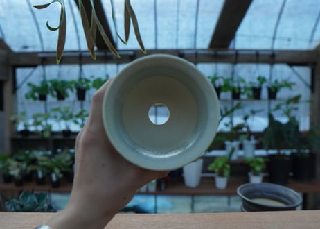 持木祐一 pot  No.40