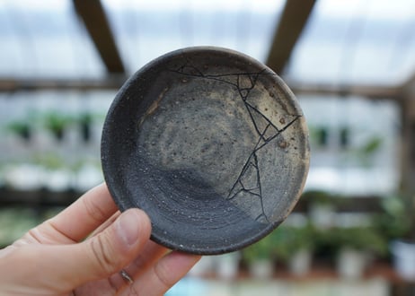 hechicami pot NO.9
