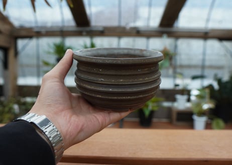 保田修作  pot No.26
