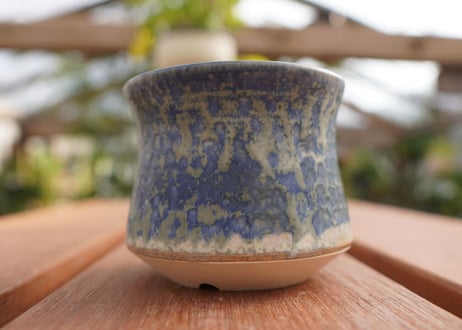 關まどか pot NO.7-6　Ｇ