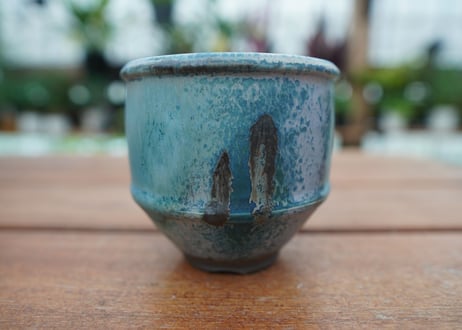 神田知広pot No.11