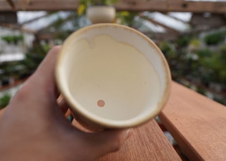 關まどか pot NO.6-4　F