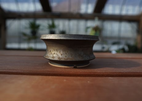 保田修作  pot No.7