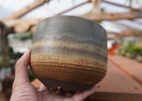 關まどか pot NO.21-2　Ｇ