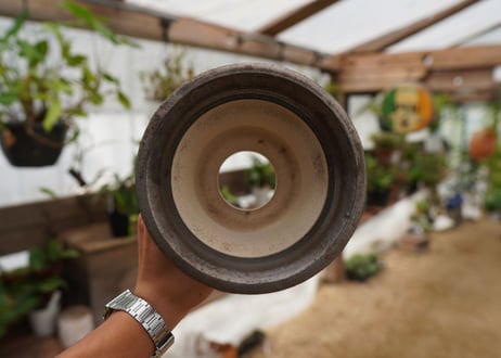 保田修作  pot No.10