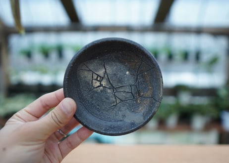 hechicami pot NO.1