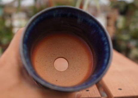 持木祐一pot NO.7