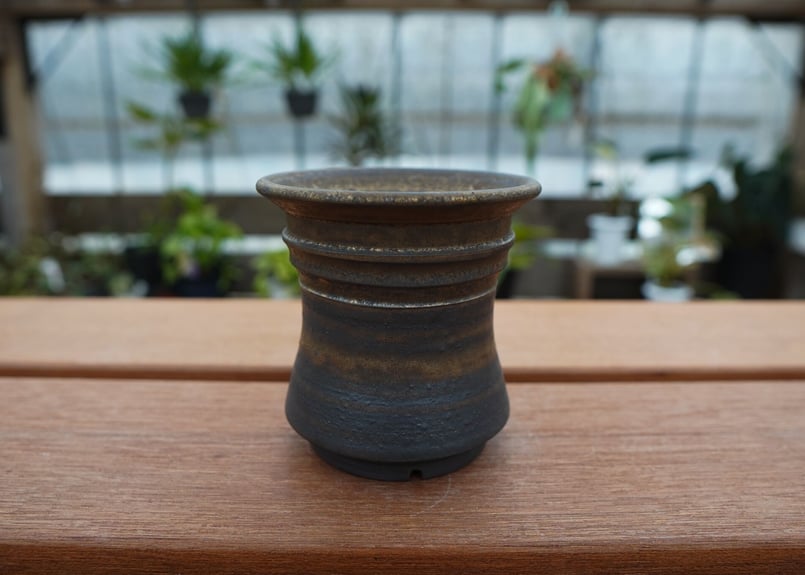 保田修作 pot No.29 | mana's farm:塊根植物・アガベ・ドライガーデン植