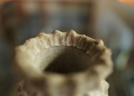 十十 草冠  pot No.4