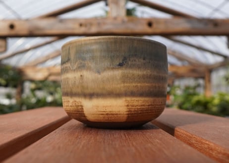 關まどか pot NO.21-1 F