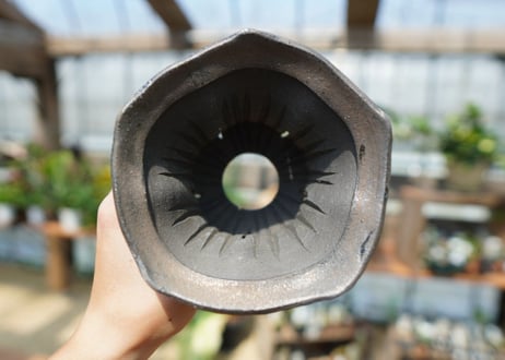 沼野秀章 pot No.4