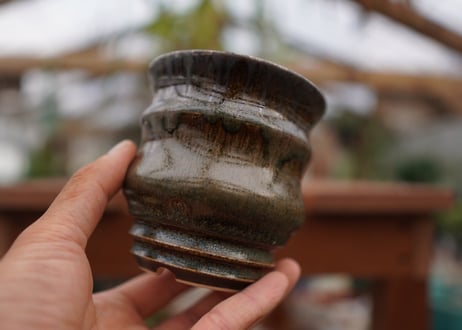 持木祐一pot NO.16