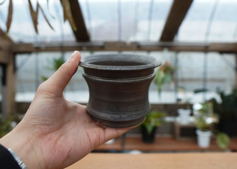 保田修作  pot No.21