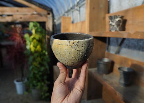hechicami pot No.14